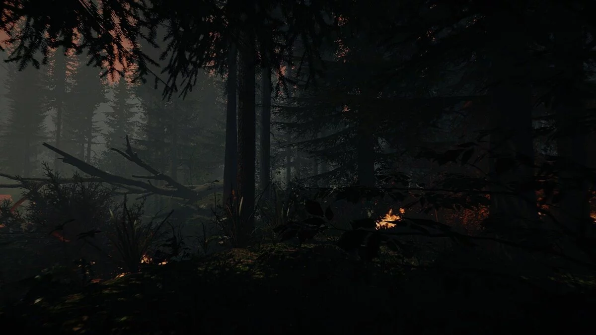 Скриншоты из The Forest / Картинка 7