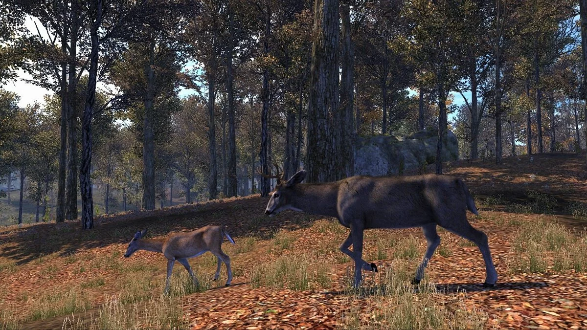 Скриншоты из Cabela's Big Game Hunter: Pro Hunts / Картинка 3