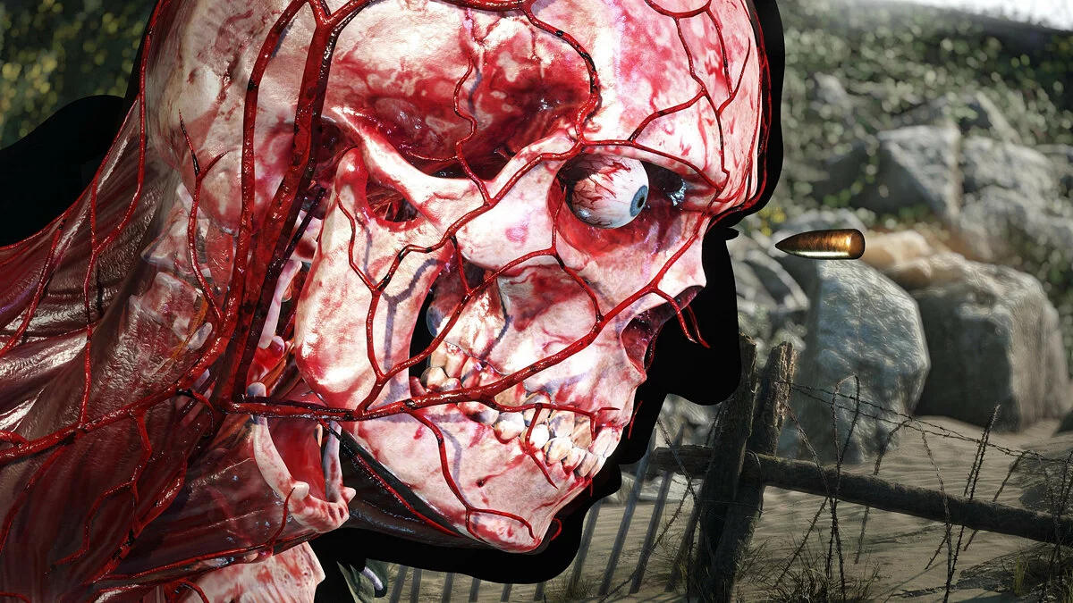 Скриншоты из Sniper Elite 5 / Картинка 8