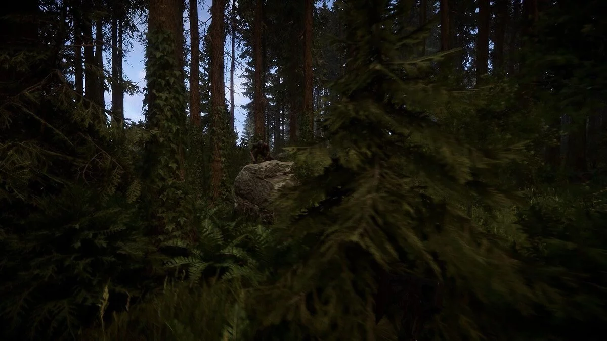 Скриншоты из Sons of the Forest / Картинка 5