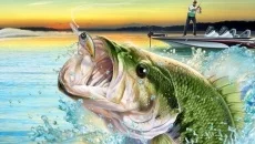 Bass Pro Shops: The Strike